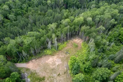 Lot Blue Goose Road Presque Isle WI 54557