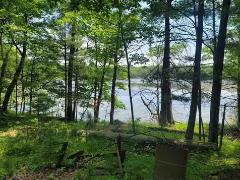 6069 Windpudding Drive N Hazelhurst WI 54531