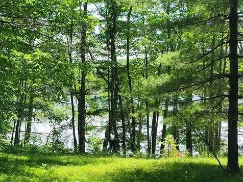 6069 Windpudding Drive N Hazelhurst WI 54531