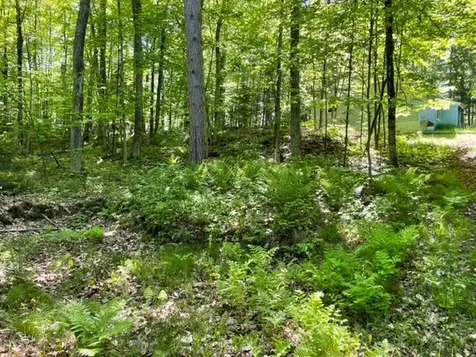 5703 Rolling Woods Drive Harshaw WI 54529