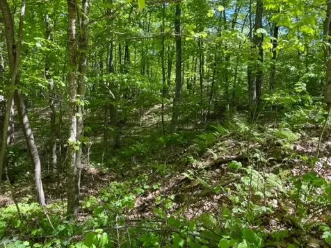 5703 Rolling Woods Drive Harshaw WI 54529
