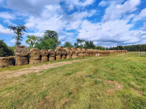 77374 Nagel Road Glidden WI 54527