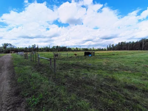 77374 Nagel Road Glidden WI 54527