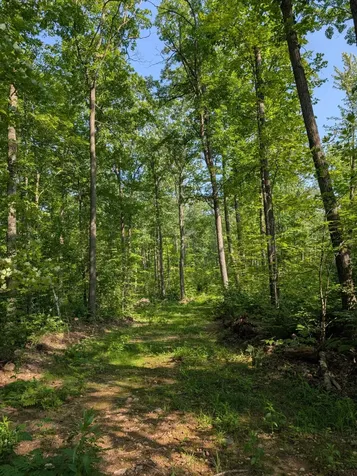 Parcel 5 West Y Road Exeland WI 54835