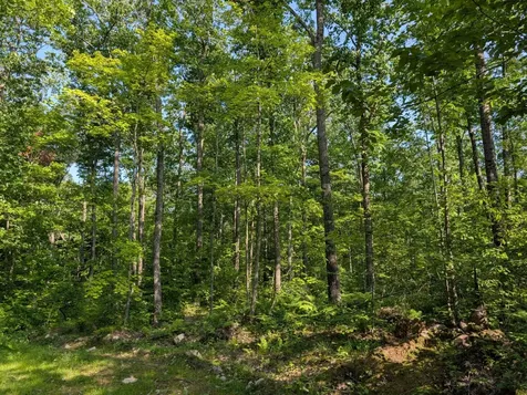 Parcel 5 West Y Road Exeland WI 54835