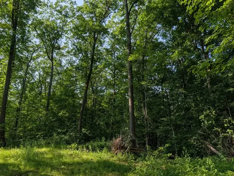 Parcel 5 West Y Road Exeland WI 54835