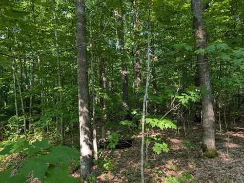 Parcel 5 West Y Road Exeland WI 54835