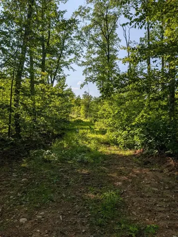 Parcel 5 West Y Road Exeland WI 54835