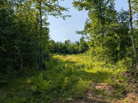 Parcel 5 West Y Road Exeland WI 54835