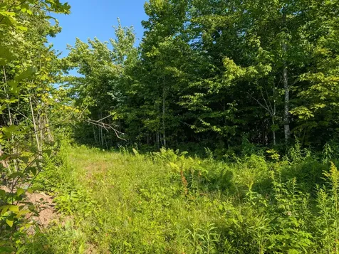Parcel 5 West Y Road Exeland WI 54835