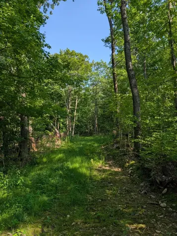 Parcel 5 West Y Road Exeland WI 54835