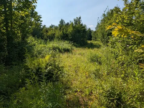 Parcel 5 West Y Road Exeland WI 54835