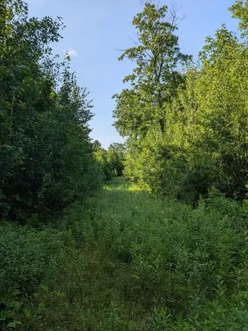 Parcel 5 West Y Road Exeland WI 54835