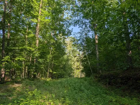 Parcel 5 West Y Road Exeland WI 54835