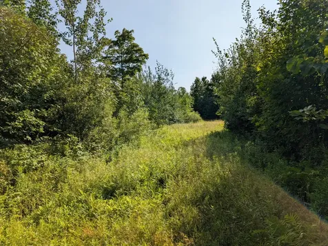 Parcel 5 West Y Road Exeland WI 54835
