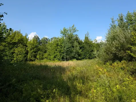 Parcel 5 West Y Road Exeland WI 54835