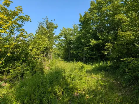 Parcel 5 West Y Road Exeland WI 54835