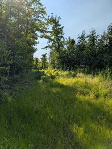 Parcel 5 West Y Road Exeland WI 54835
