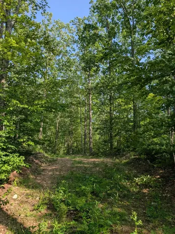 Parcel 5 West Y Road Exeland WI 54835
