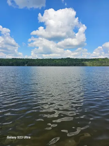 1437 Range Line Lake Lane Wabeno WI 54566