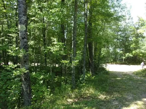 1437 Range Line Lake Lane Wabeno WI 54566
