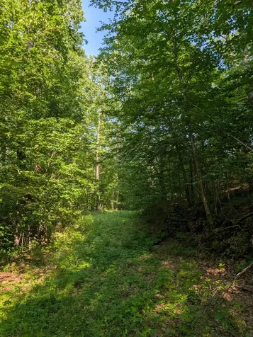 Parcel 3 West Y Road Exeland WI 54835