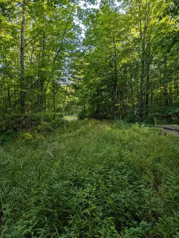 Parcel 3 West Y Road Exeland WI 54835