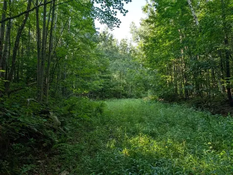 Parcel 3 West Y Road Exeland WI 54835