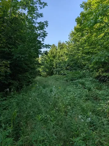 Parcel 3 West Y Road Exeland WI 54835