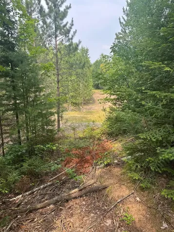 8380 Harris Lake Road E Winchester WI 54557