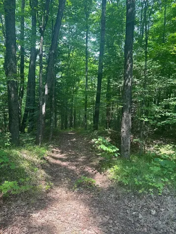 8380 Harris Lake Road E Winchester WI 54557