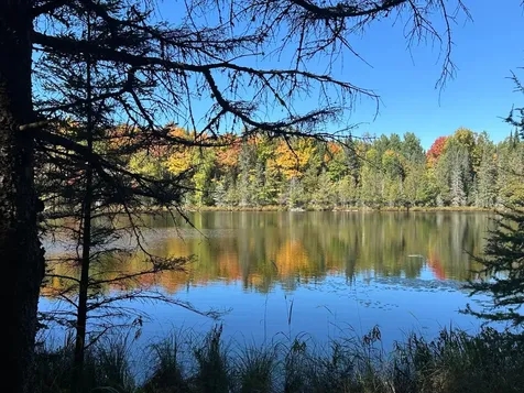 8380 Harris Lake Road E Winchester WI 54557