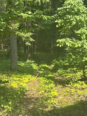 8380 Harris Lake Road E Winchester WI 54557