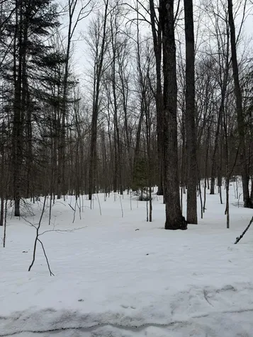 8380 Harris Lake Road E Winchester WI 54557