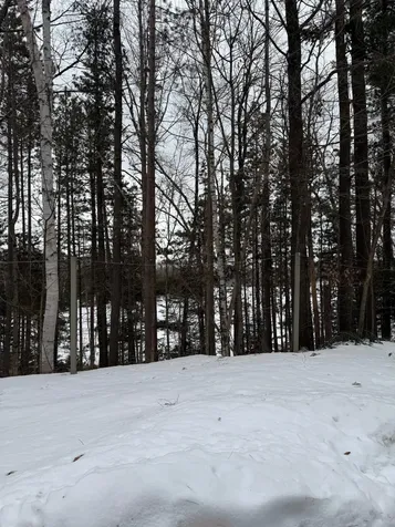 8380 Harris Lake Road E Winchester WI 54557