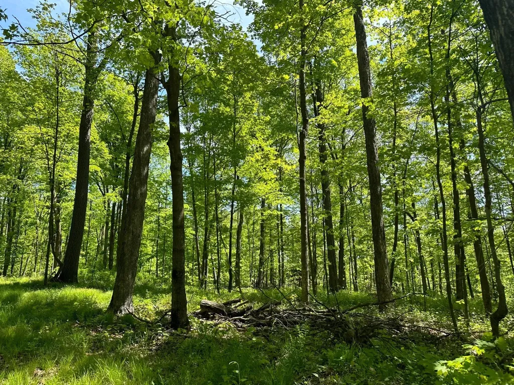 100AC On 28th Avenue N Merrill WI 54452