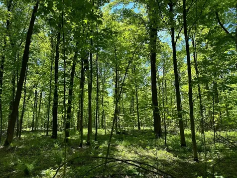 100AC On 28th Avenue N Merrill WI 54452