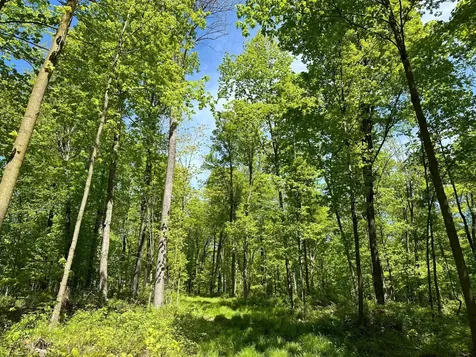 100AC On 28th Avenue N Merrill WI 54452