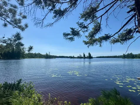 553 Reed Road Three Lakes WI 54562