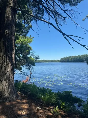 553 Reed Road Three Lakes WI 54562
