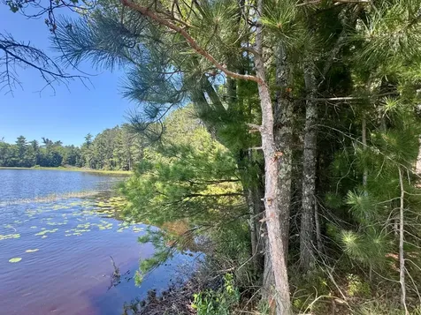 553 Reed Road Three Lakes WI 54562
