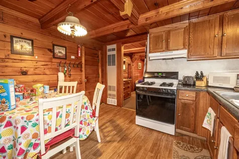 10338 Big Arbor Vitae Drive Woodruff WI 54568