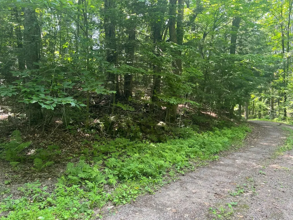 17197 Patti Lane Lakewood WI 54138