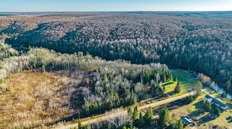 TBD Fox Drive Iron River MI 49935