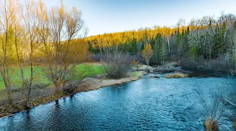 Tbd Fox Drive Iron River MI 49935