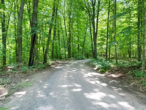 1682 Turner Lake Road E Lac Du Flambeau WI 54538