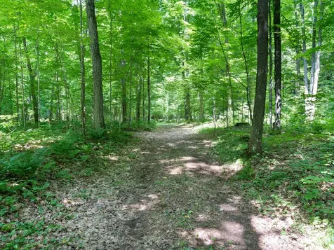 1682 Turner Lake Road E Lac Du Flambeau WI 54538