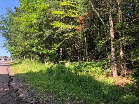 Outlot 1 Skye Drive Upson WI 54565