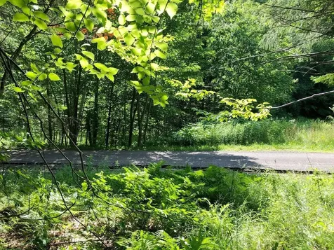 Outlot 1 Skye Drive Upson WI 54565