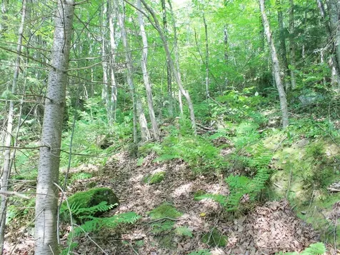 Outlot 1 Skye Drive Upson WI 54565